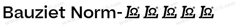 Bauziet Norm字体转换